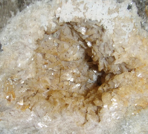 Light pink-brown dolomite with needle-like crystals of goethite in a New Albany Shale calcareous nodule..
