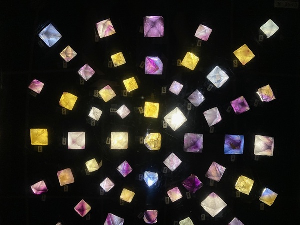 Backlit fluorite octahedra at the Clement Mineral Museum