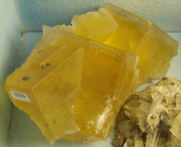 Yellow fluorite with chalcopyrite. Specimen 2039. 