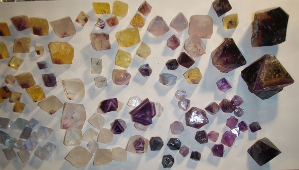 Fluorite octahedra chipped by Alan. A small part of his octahedron collection. 