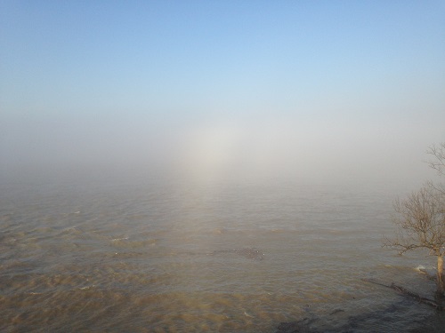 A rare fogbow over the Ohio River. 