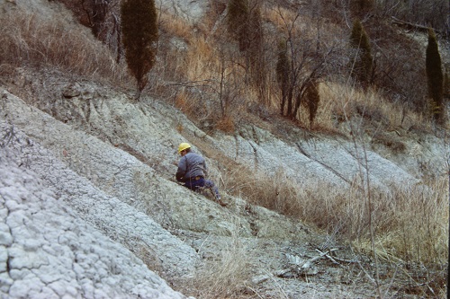 Looking for pyrite-replaced fossils at the General Shale Company outcrops.