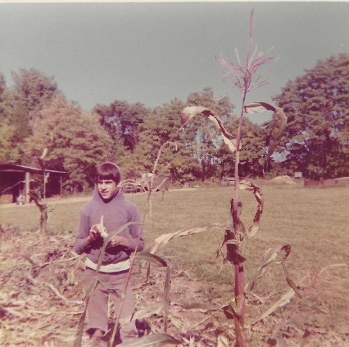 Picking pop corn in the upper field in 1976