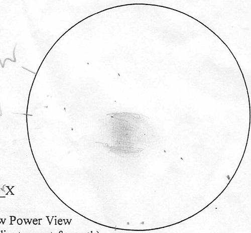 Alan's sketch of The Dumbbell Nebula with a 20" scope. 