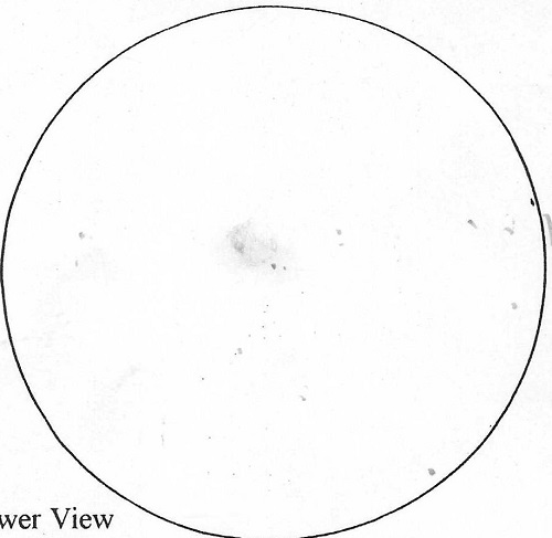 Alan's Sketch of NGC 7008 through an 18" at the Twin Lakes Star Party in KY.