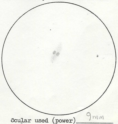 NGC 7026 sketch by Alan. This rates as a weird planetary nebula.