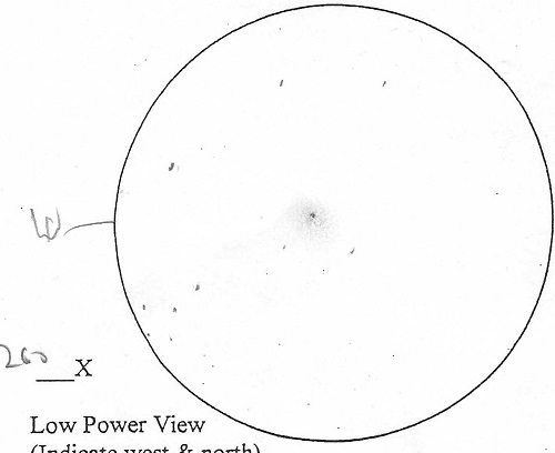 Alan's sketch of NGC 2346 in Monoceros doesn't look like a butterfly in a 16" scope.