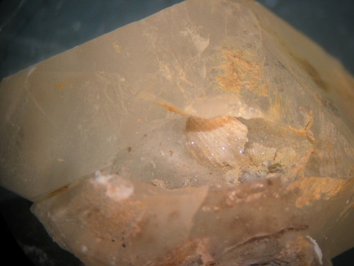 Silicified Zygospira inside a calcite crystal! From the quarry in Danville, Kentucky. Collected April 2001.