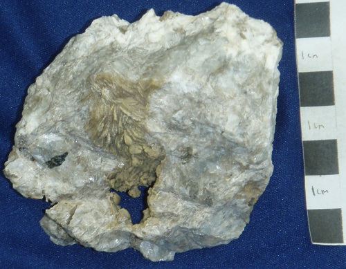 Smithsonite coating barite from the Walker vein, Central Kentucky Mineral District, Danville, Boyle Co., KY.