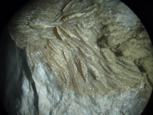 Details in the photo above. Smithsonite forms a crust.