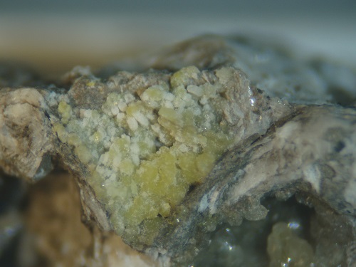 A microphoto of cadmium-colored smithsonite crystals on an Ordovician bryozoan. From the Danville Quarry.