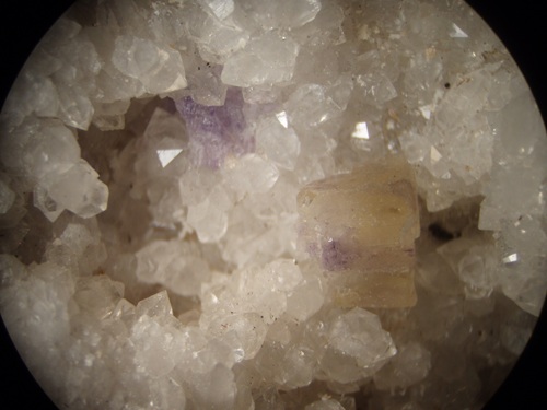 Close-up of the fluorite showing purple and yellow crystals. FOV = 3.5 cm.