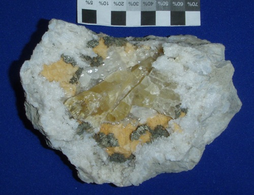 Massive yellow barite crystal with pyrite, exposed by dissolving the calcite with HCl. Collected in March 1986. Cm scale at top.