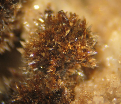 Close-up of petroleum-stained strontianite. Notice the small crystals are slightly curved. This is distinctive with this mineral. FOV ~6 mm 