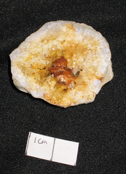 Ferroan dolomite with microscopic pyrite crystals that have colored the quartz, too. From the road cut near Harrodsburg, Indiana. 