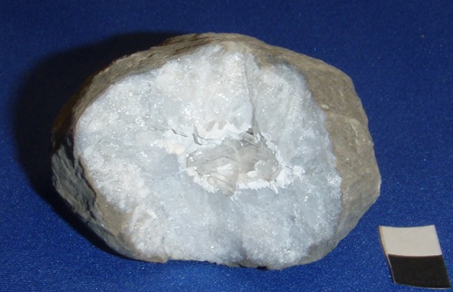 Ice-like selenite fills the opening, surrounded by chalcedony, which in turn is surrounded by mosaic quartz crystals. Muldraugh, Kentucky. 2 cm scale.