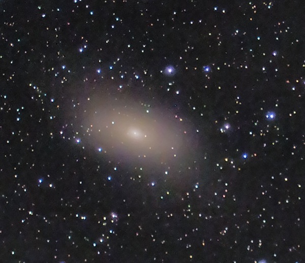 M110 is a dwarf elliptical galaxy with peculiar features. Ron Yates photo.