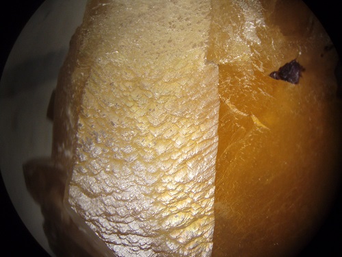 Calcite crystal coated with somewhat iridescent iron (goethite?). Collected by me from the old Austin Lead mine exposed in Hastie's Quarry in July 1984. FOV = 3 cm