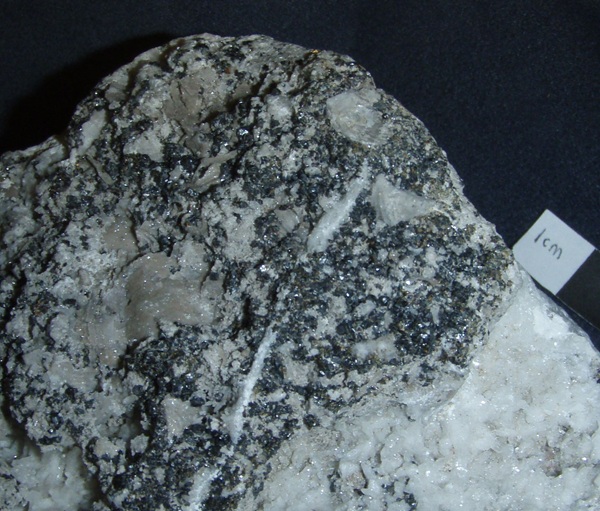 Photo Spy, Sphalerite "black jack" and calcified brachiopods on calcite, Annabel Lee mine. Collected in 1987. This is a very unusual fossil-mineral association.