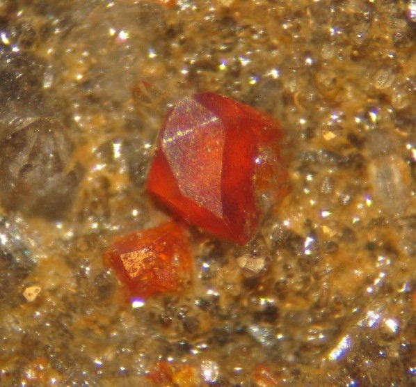Photo Sp5, tiny red sphalerite crystals on quartz from the Columbia mine. FOV ~5 mm