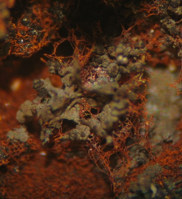 Photo Mn3, Wad, irregular black material associated with orange goethite, from the Hastie Quarry. FOV ~1 cm