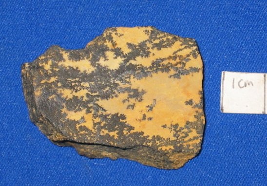 Photo Mn1, Dendritic manganese oxide on chert from the Pigmy mine, collected on my first trip to the fluorspar district in April 1981.