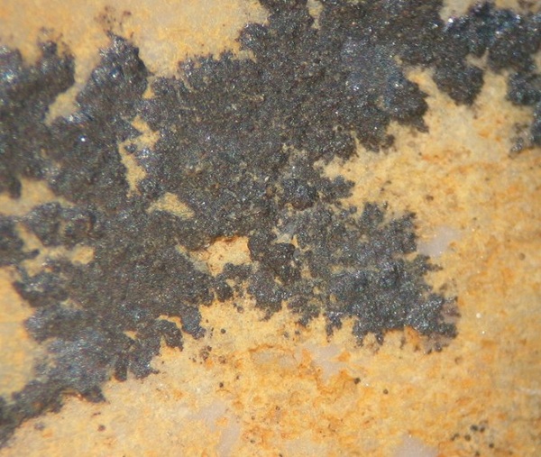 Photo Mn1A, Close-up - top/center, of the specimen (above). FOV ~ 1 cm