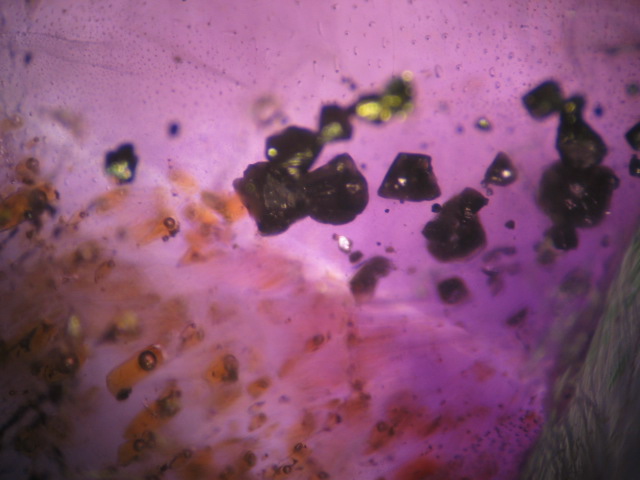 Photo Ch1, Chalcopyrite crystals included in fluorite, with fluid inclusions to the lower left. FOV ~20 mm