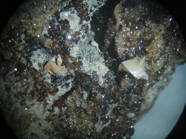 Photo D1, Dolomite, two saddle-shaped crystals on sphalerite from the Annabel Lee mine. FOV = 35mm