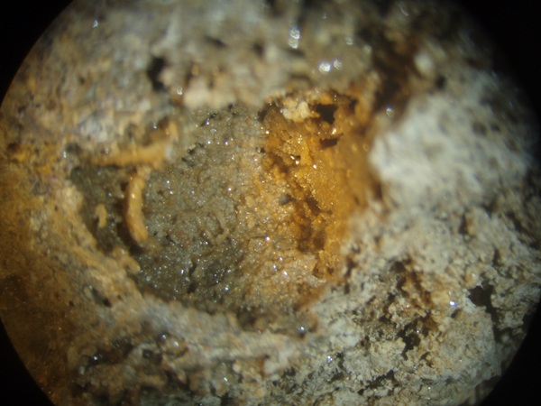 Photo Sm7, Smithsonite replacing a brachiopod from the Hastie's Quarry, collected in May 2001. FOV = 35mm