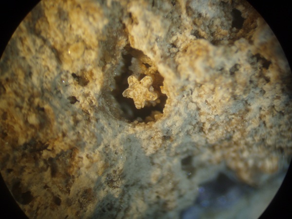 Photo Sm8, Smithsonite mold of a crinoid showing a star-shaped lumen. From the Hastie's Quarry, collected in May 2001. FOV = 10 mm