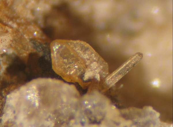 Photo Cr3, Cerussite, two crystals of different forms, from the Hickory Cane mine. FOV ~7 mm