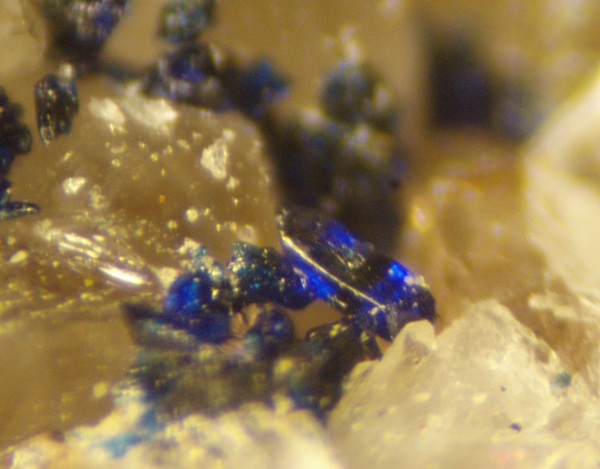 Photo Az2, Backlit azurite on smoky quartz from the Lead Hill quarry. FOV ~5 mm