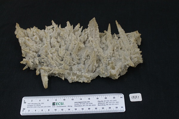 Photo Be1, Benstonite on calcite, Minerva No. 1 mine. Ben E. Clement Mineral Museum specimen.