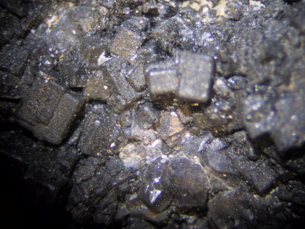 Photo Hy4, Fluorite cubes with a thick coating of dried bitumen/hydrocarbon, from a diamond drill core found at the Victory mine core dump. FOV = 35 m