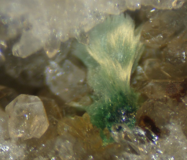Photo Mal3, Silky malachite with azurite on quartz, Lead Hill quarry, Hastie property. Malachite is 3 mm long.