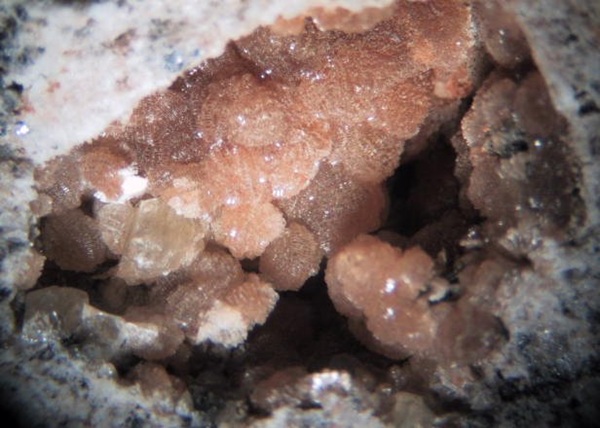 Photo Hm4, Sherry-colored hemimorphite rosettes from the Hickory Cane mine in a pocket about 1.5 cm across.