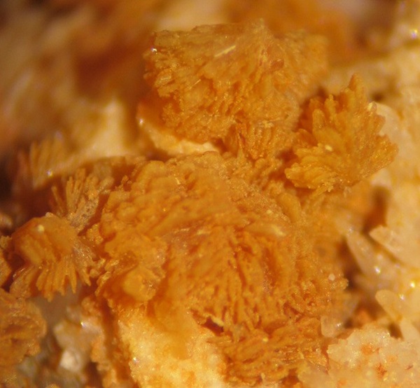 Photo Hm5, Hemimorphite and quartz from the dump of the Minerva No. 1 mine, collected May 24, 1984. FOV ~5 mm