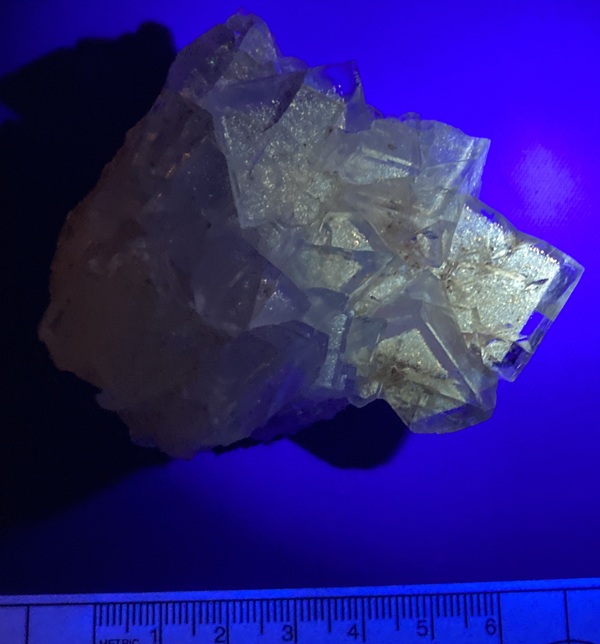 Photo Inc4, Hydrocarbons in a thin zone within the fluorite revealed under long wave UV light; Minerva No. 1 mine, Ben E. Clement Museum specimen.