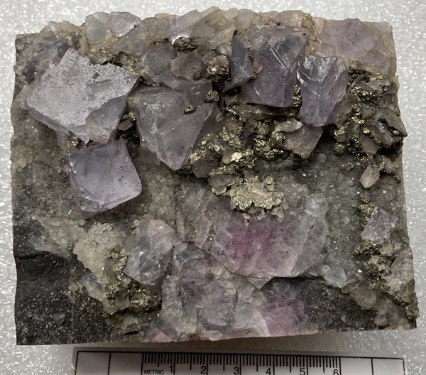 Photo Py3, Pyrite in large crystals on fluorite, mine locality unknown. Neatly trimmed Ben E. Clement Mineral Museum specimen.  