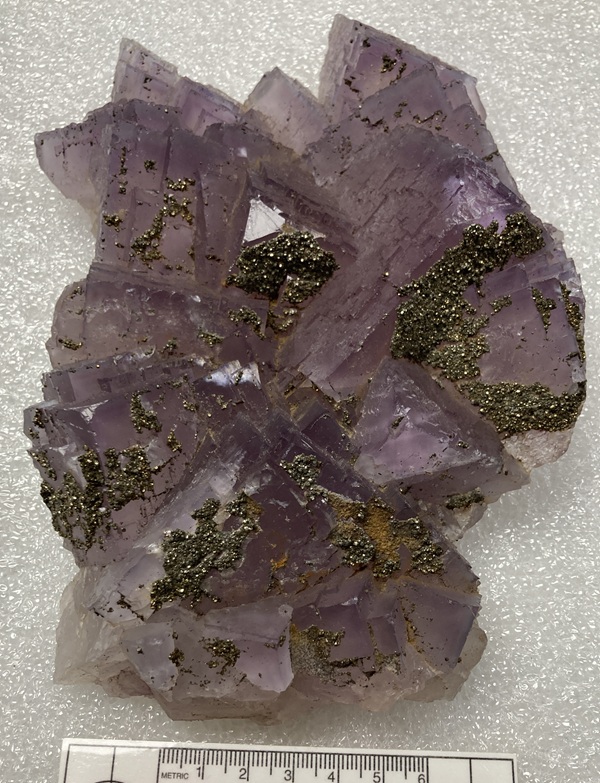 Photo Py2, Pyrite (cuboctaherdral) on fluorite, mine locality unknown. Ben E. Clement Mineral Museum specimen 