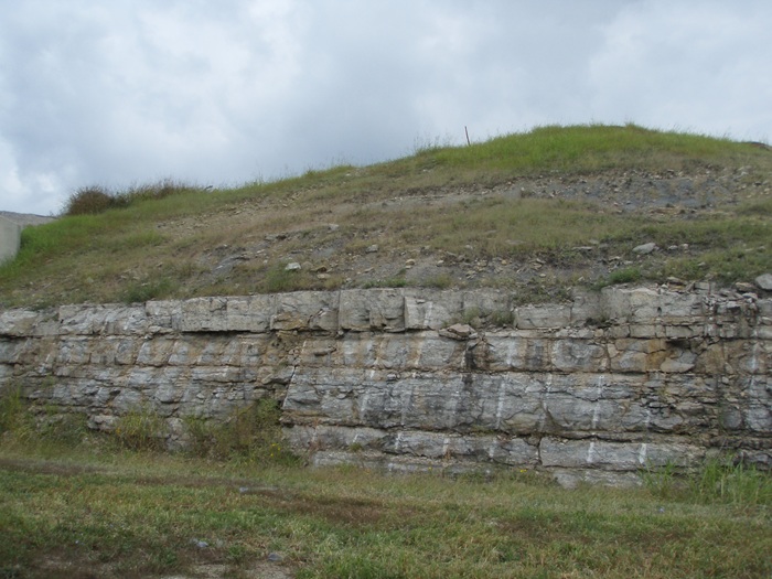 Glen Dean Formation in Grayson Co., Kentucky, with fossil-rich shale over limestone.