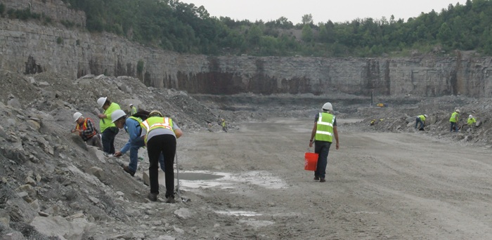 Collectors wearing appropriate PPE (safety gear).