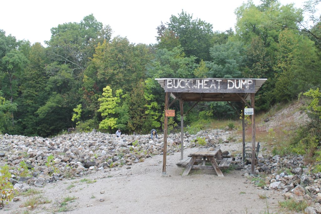 The Buckwheat mine dump with several collectors. This is a partial view of the collecting area.