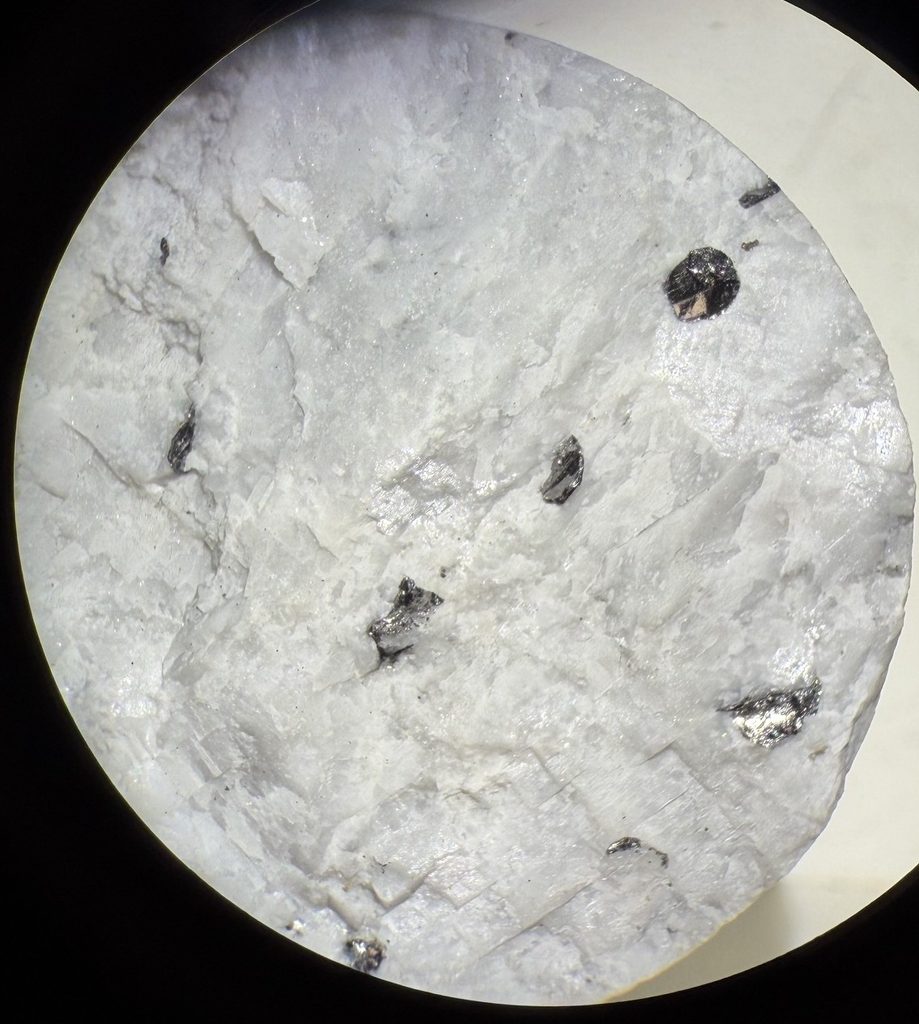 Graphite crystals in white marble in a diamond drill core. Coring is done to determine whether mining should continue and in which direction. 