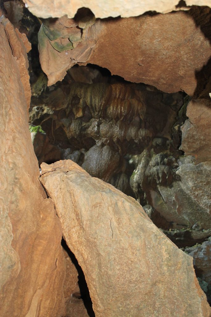 Other speleothems behind the stalagmite. This was likely a dome feature within the cave.