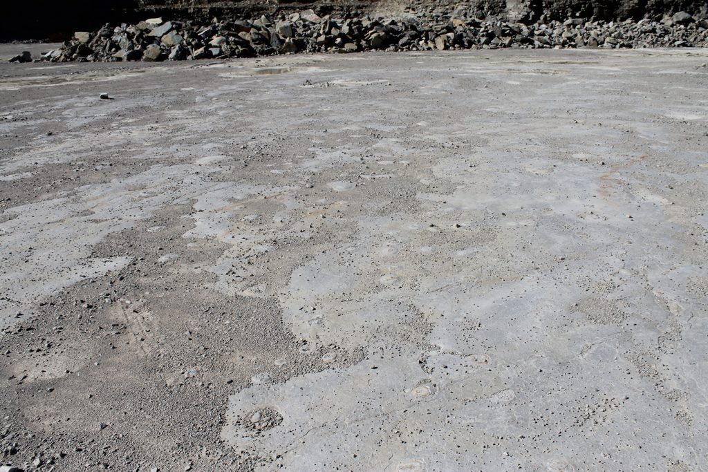 More flint nodules on the quarry floor. 
