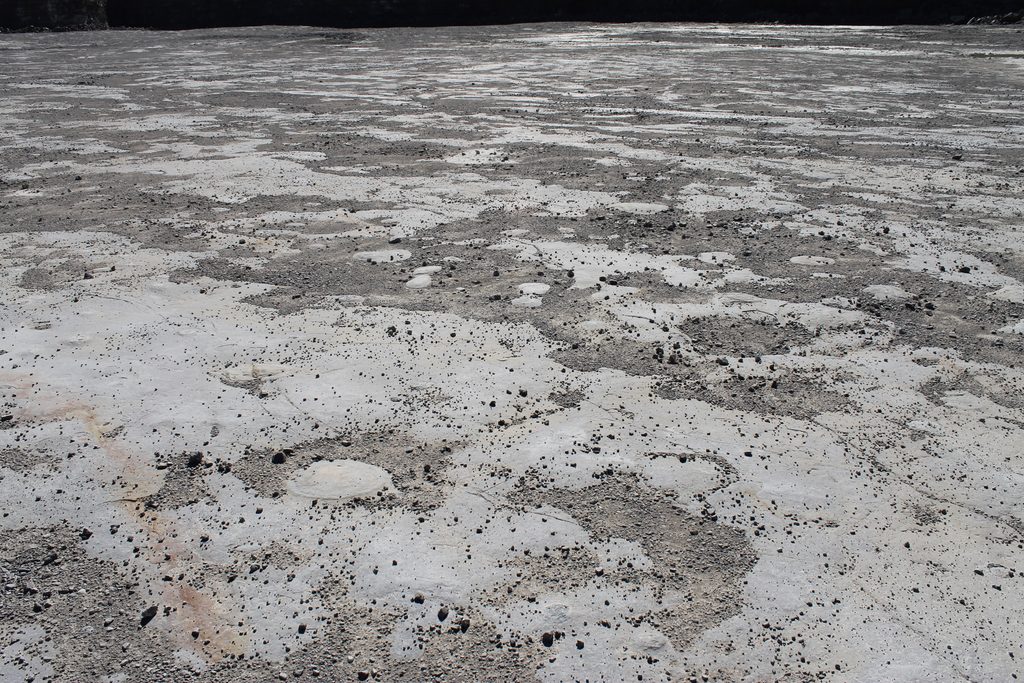 Look closely and you'll see a lot of round places on the quarry floor. Those are flint nodules.