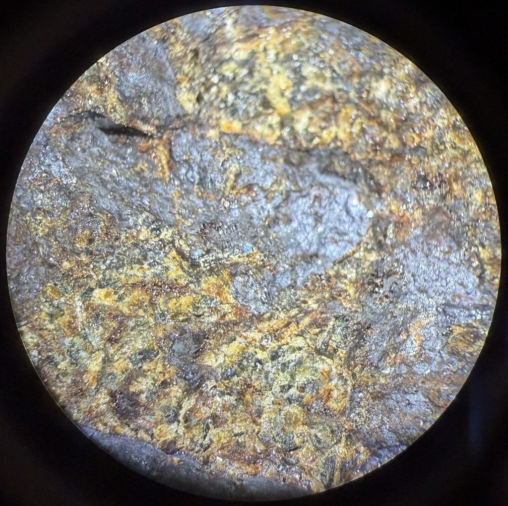 Mystery rock from the Sterling Hill mine collecting pile through a microscope. The small blue mineral in the center is another mystery.